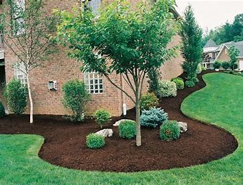 Fresh mulch and clean bed edges on a Tri-Cities property.