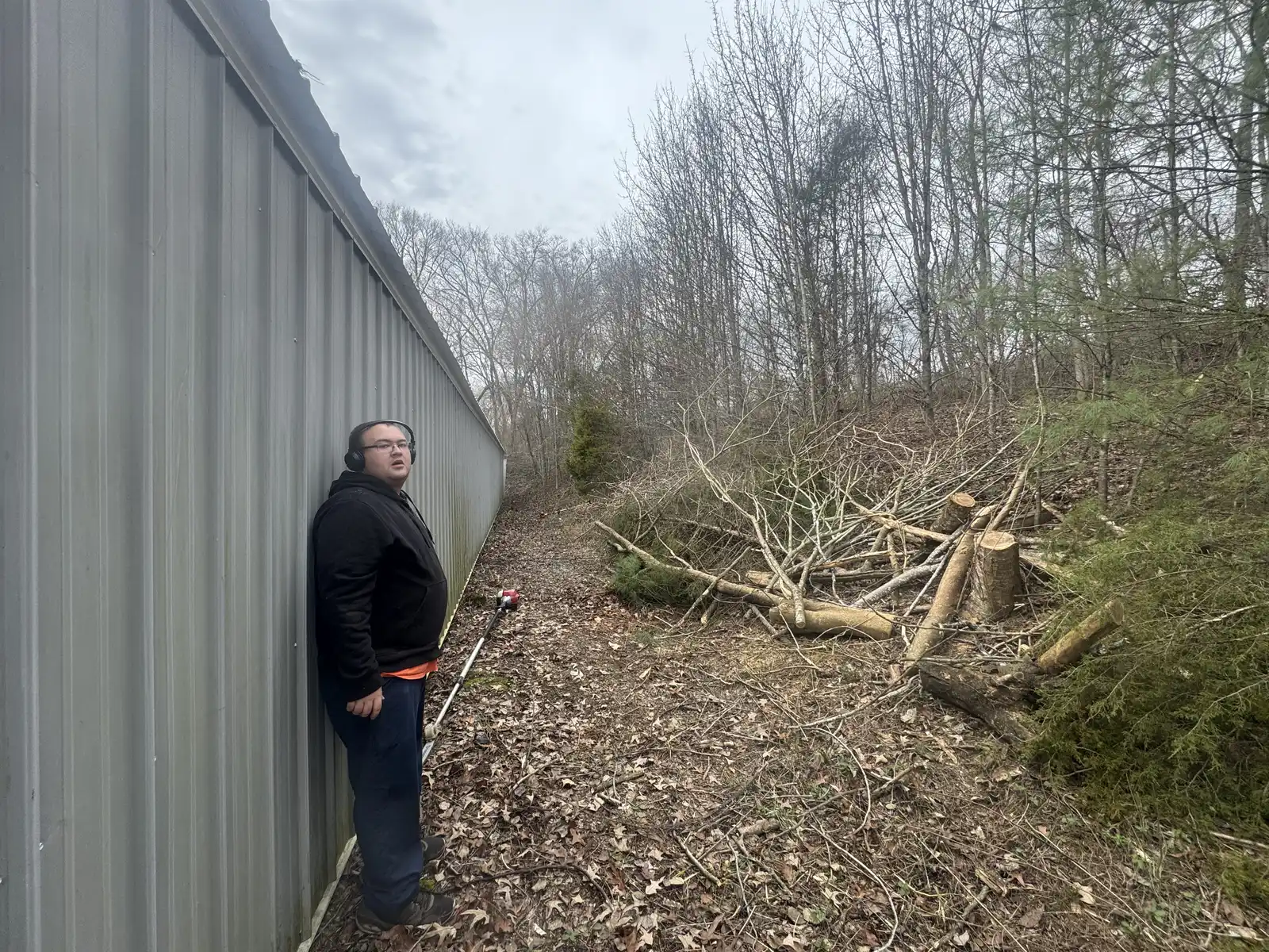 Hands-on tree and brush cleanup in progress.