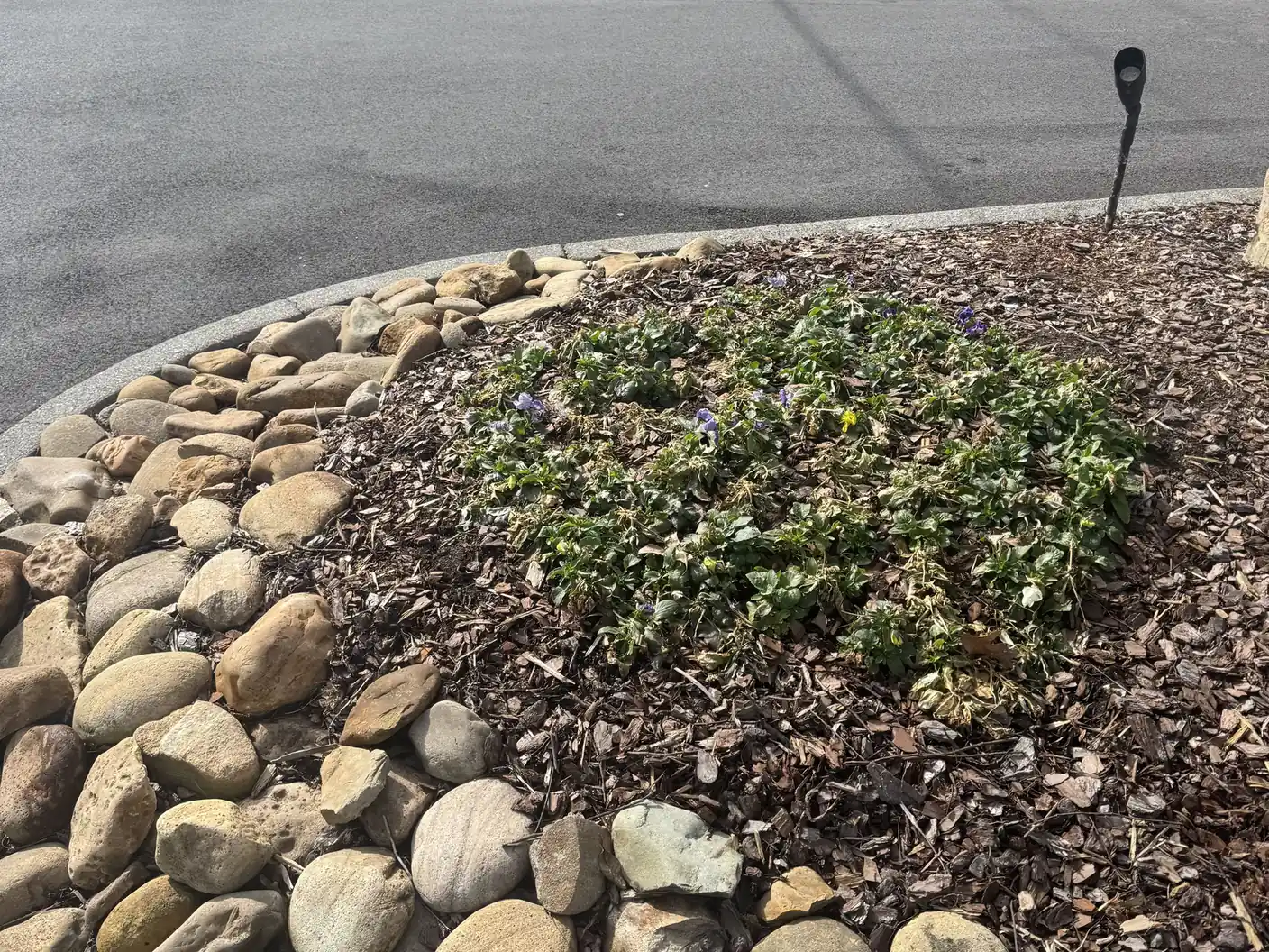 River-rock border around a mulched landscape bed.