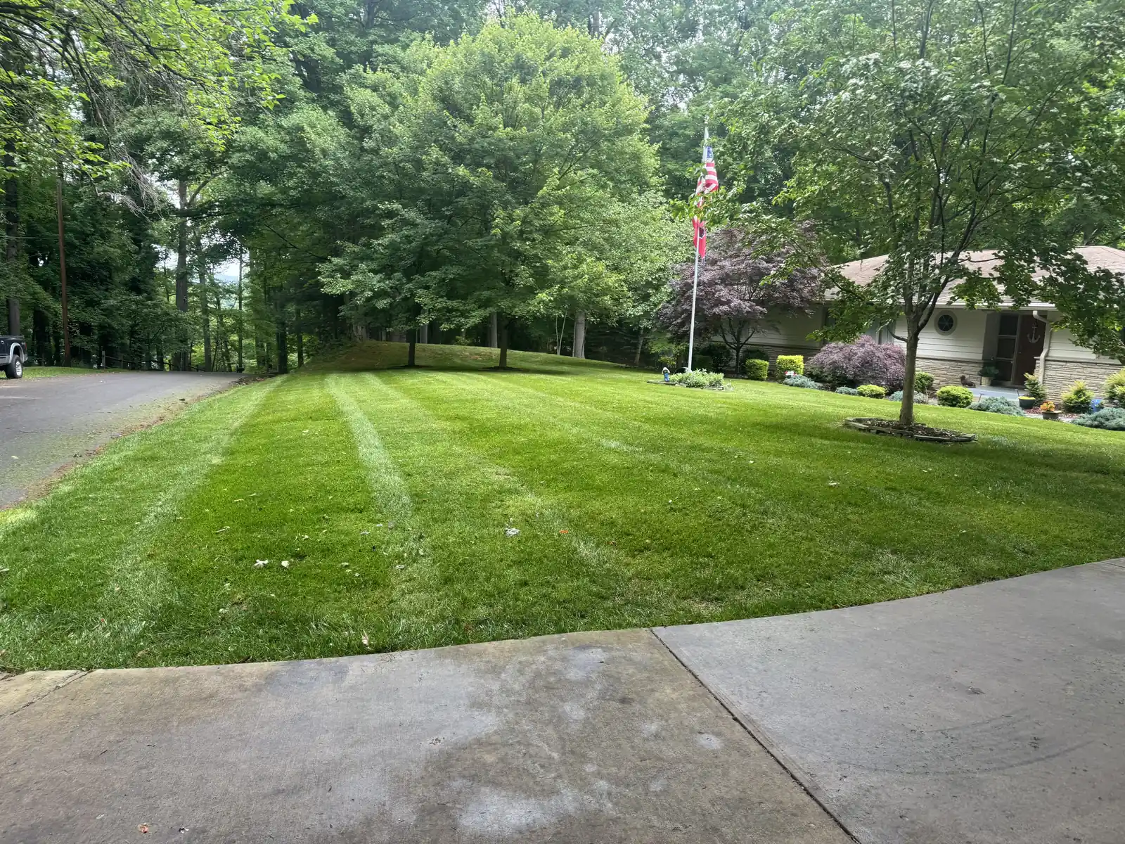Freshly striped lawn bordered by mature trees.