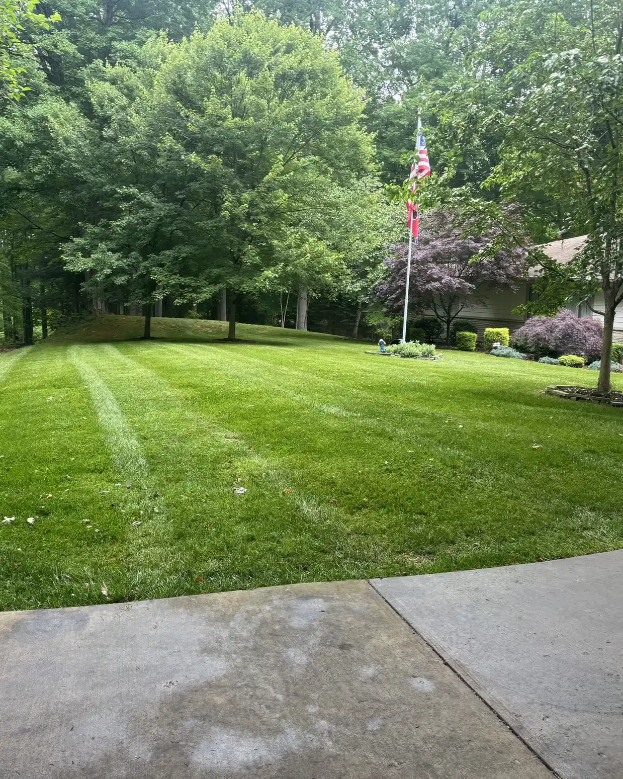 Freshly striped lawn bordered by mature trees.
